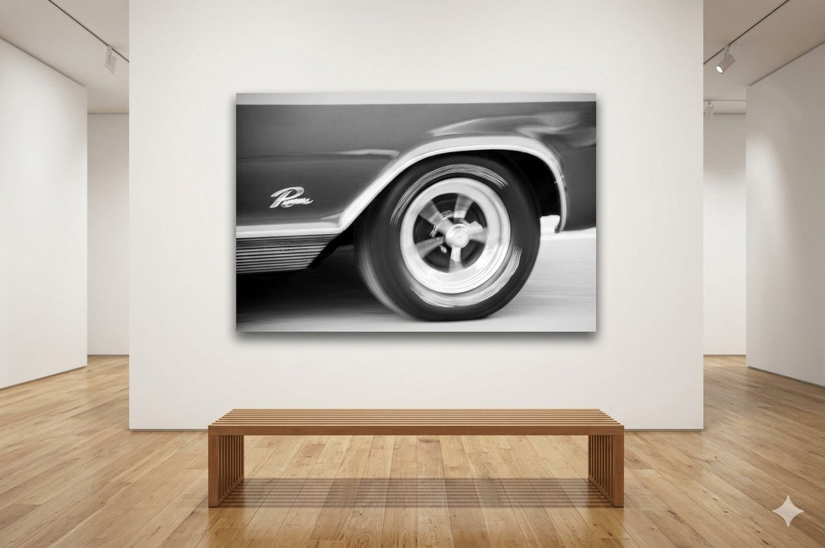 Riviera in Motion